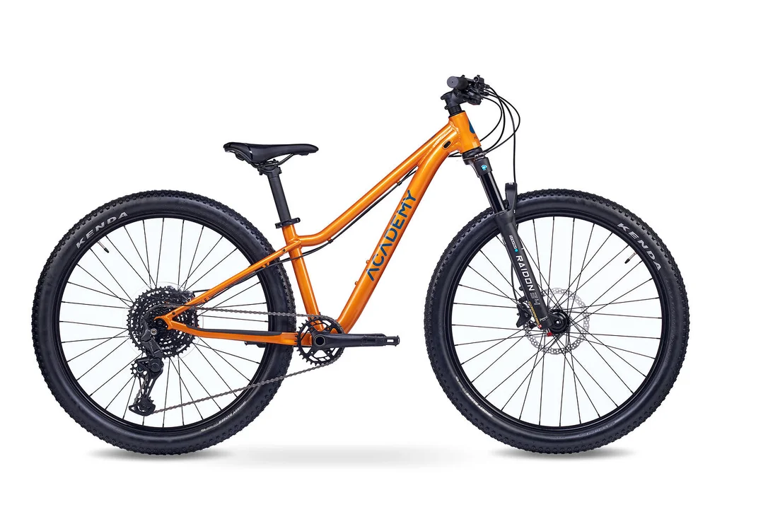 bikester960473