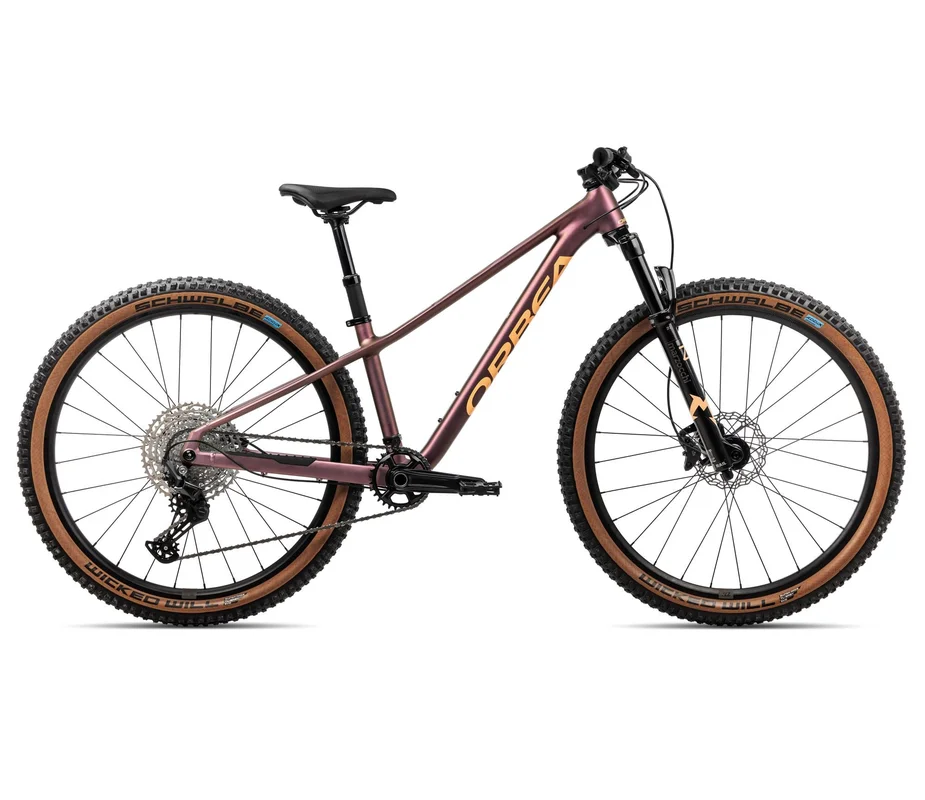 bikester975273