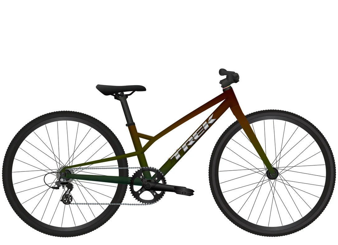 culturevelo202610190152021165248