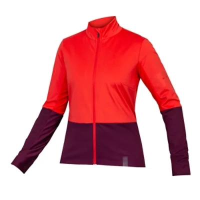 culturevelo20261023015420484221