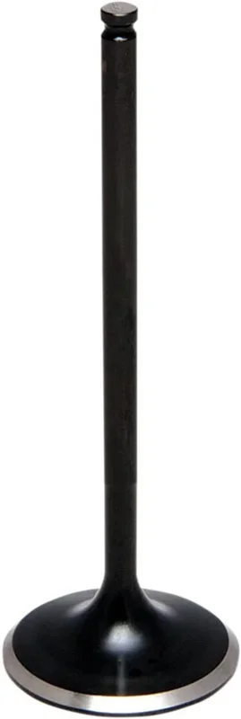 motoblouz-32026102023544674921