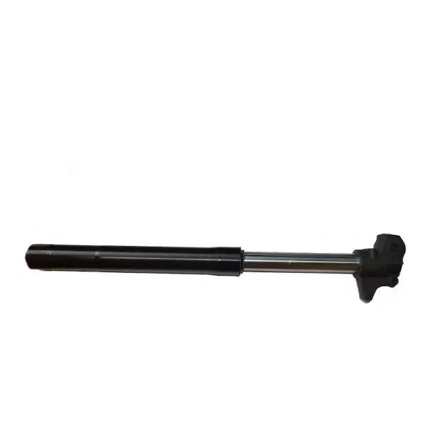 motoscoot1001895