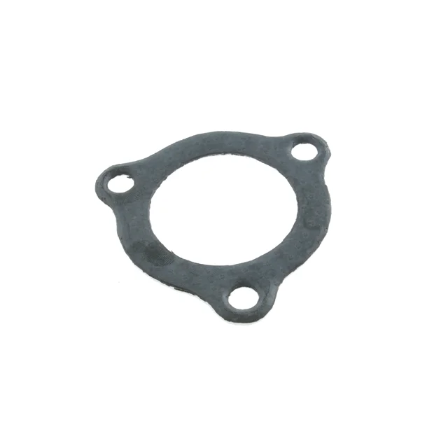 motoscoot1009349
