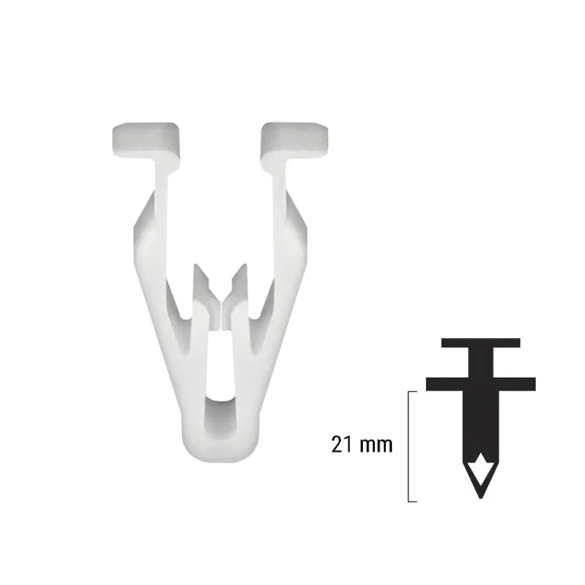 motoscoot1010553