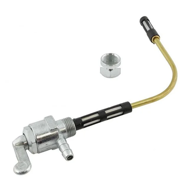 motoscoot1069052