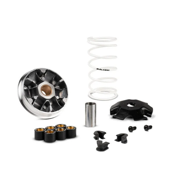 motoscoot1079248