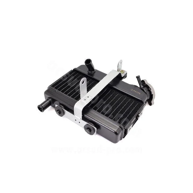 motoscoot1096383
