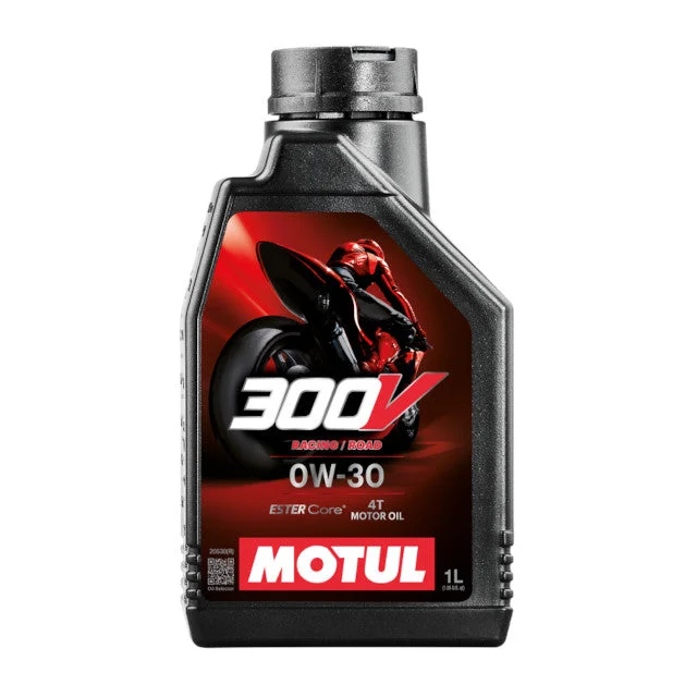 motoscoot1113029
