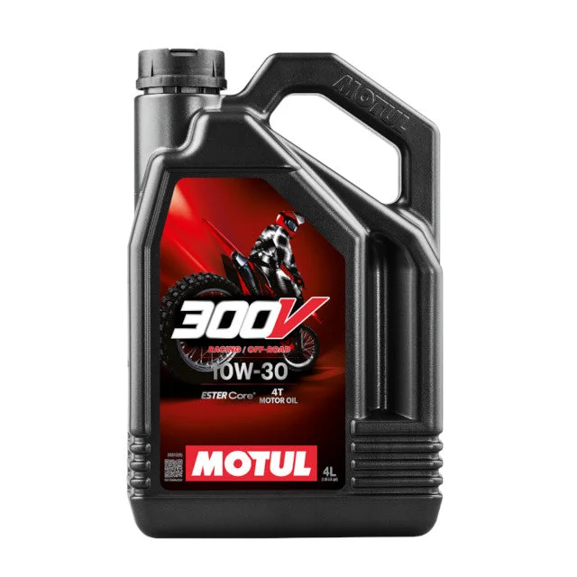 motoscoot1113073