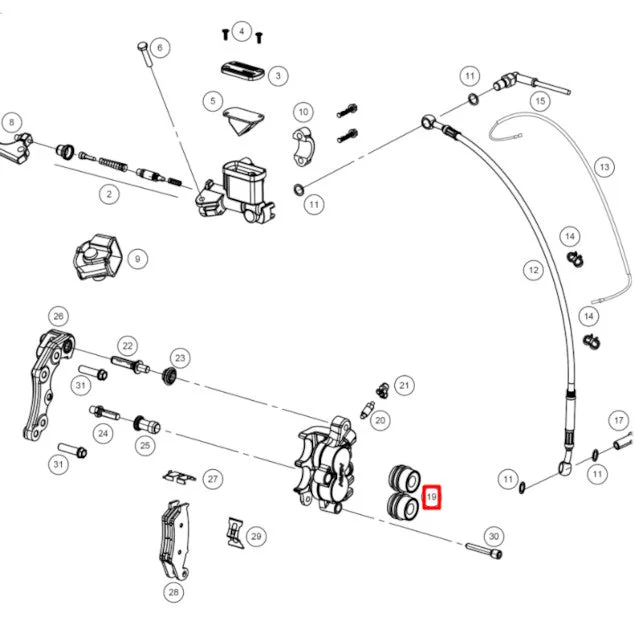 motoscoot1122086