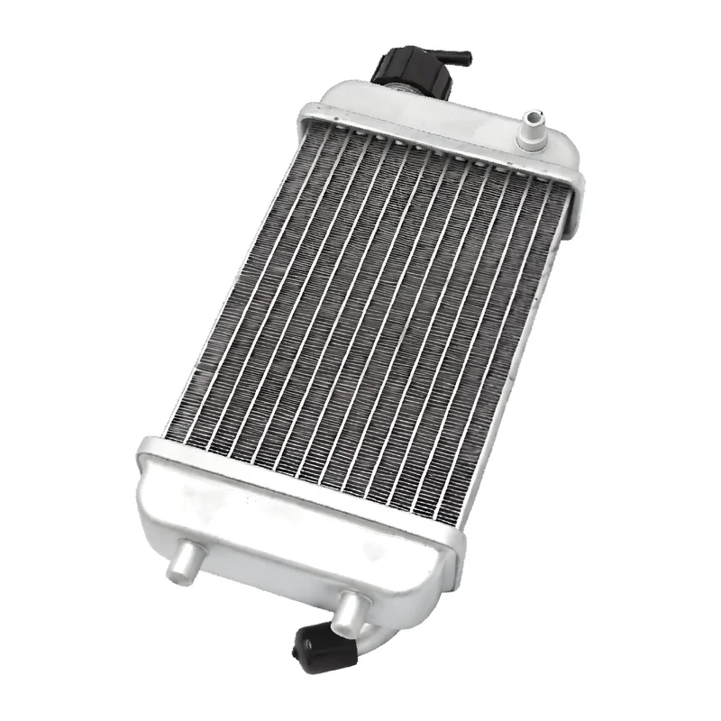 motoscoot1171562