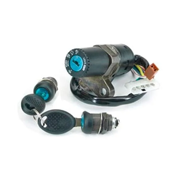 motoscoot791511