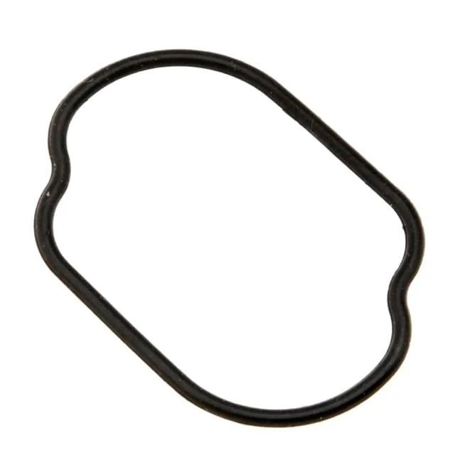 motoscoot865524