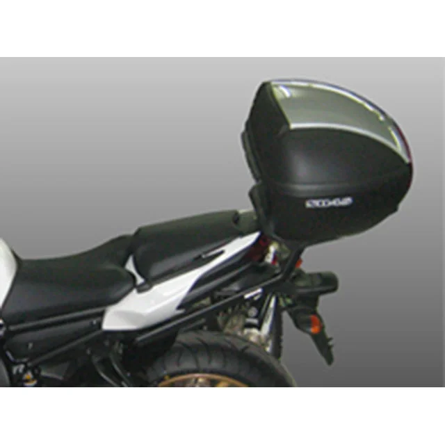 motoscoot985499