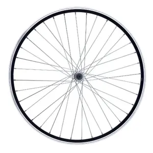 velo-store-1202610181705331067045