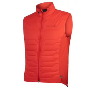 velo-store-1202610190715241208362