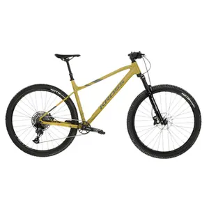 velo-store-1202610191728141311215