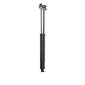 velo-store-1202610200537151440740