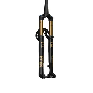 velo-store-12026102022085561149