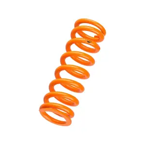 velo-store-120261021063742127910