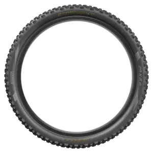 velo-store-120261021182202189754