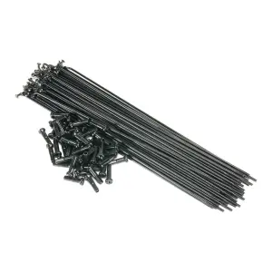 velo-store-120261021214223214092