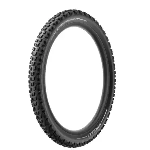 velo-store-120261022031027258138