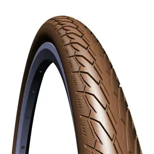 velo-store-120261022083011310882