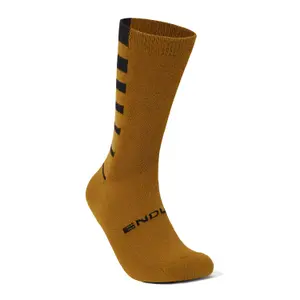 velo-store-120261022122659335134
