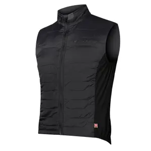 velo-store-2202610190231211170019