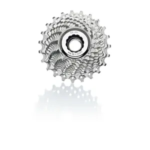 velo-store-2202610200008031374877