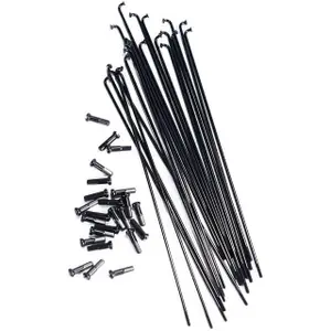 velo-store-220261021033023104035