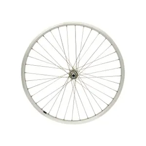 velo-store-420261023024728493817