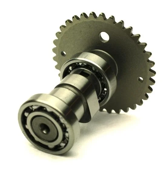 velototal202610181243021021679